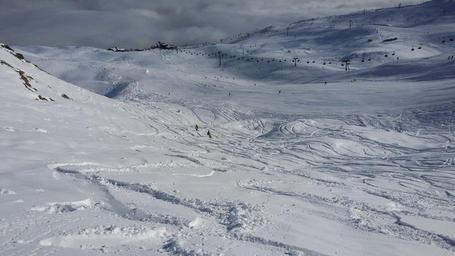 skiing-winter-sports-snow-winter-573927.jpg