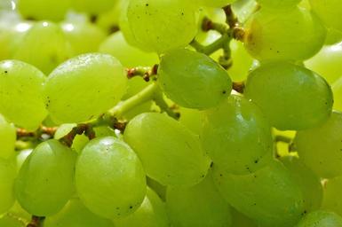 grapes-fruits-healthy-fruit-food-1280861.jpg