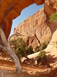 arches-arches-national-park-4606.jpg