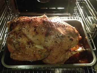 thanksgiving-christmas-turkey-oven-231781.jpg
