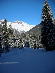 skiing-ski-tour-winter-sports-sport-360472.jpg