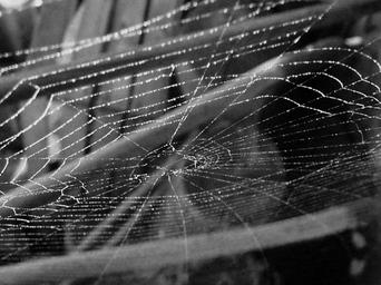 cobweb-spider-web-spider-web-18674.jpg
