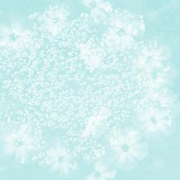 texture-wedding-baby-flower-mint-1144585.jpg