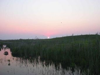 Sunset over marsh.jpg