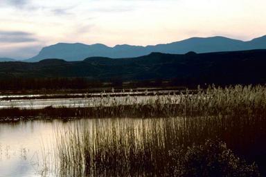 Sunset at Bosque del Apache national reserve.jpg