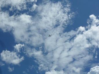 airplane-sky-cloud-484687.jpg