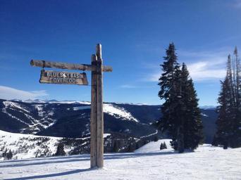 skiing-snow-po-ski-winter-1291390.jpg