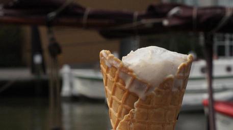 ice-cream-cone-ice-ice-cream-enjoy-442259.jpg