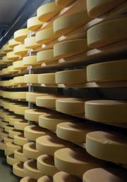 cheese-cheese-dairy-body-milk-451230.jpg