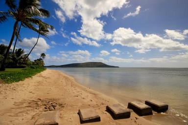 hawaii-beach-vacation-happy-1686600.jpg