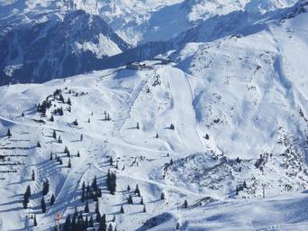 skiing-sun-snow-dream-day-winter-1566100.jpg