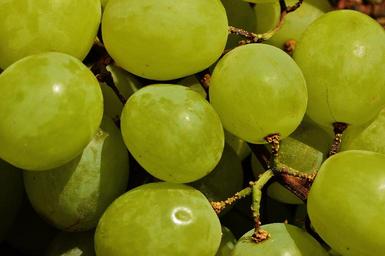 grapes-fruit-table-grapes-1517305.jpg