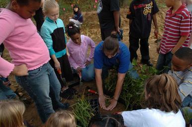 Biologist show students how to place plants in the wetland areas.jpg