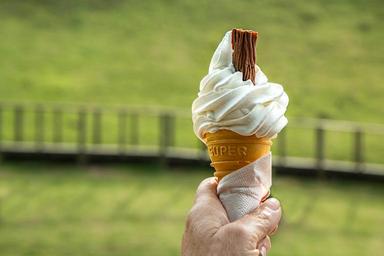 ice-cream-cone-melting-hot-1579124.jpg