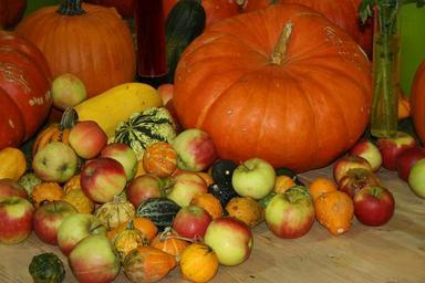 thanksgiving-pumpkin-apple-autumn-482245.jpg