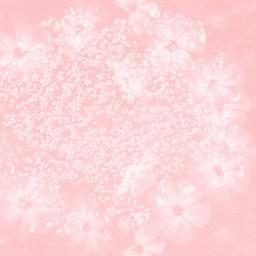 texture-wedding-baby-flower-coral-1144583.jpg