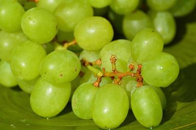 grapes-fruits-healthy-fruit-food-1281439.jpg