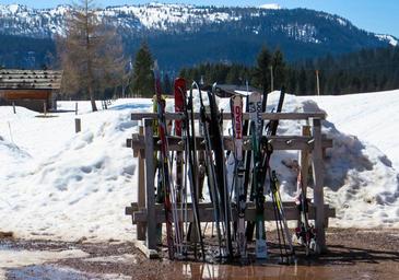 skiing-ski-winter-ski-poles-1103829.jpg