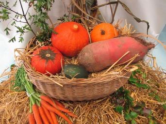 thanksgiving-vegetables-fruits-786617.jpg
