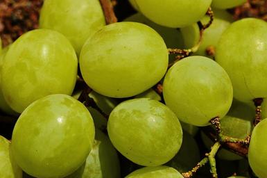 grapes-fruit-table-grapes-1517311.jpg