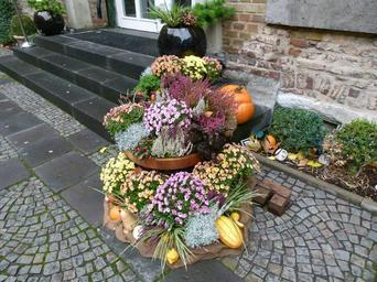 thanksgiving-autumn-floral-harvest-967135.jpg