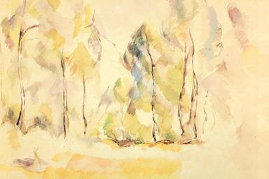 Paul_Cézanne-_Landscape_with_Trees.jpg