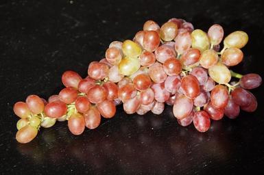 grape-grapes-autumn-autumn-colours-186910.jpg