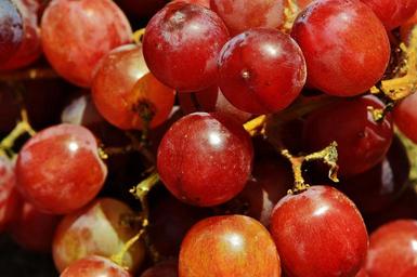 grapes-fruit-table-grapes-1517317.jpg