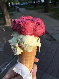ice-cream-ice-currant-ice-cream-1337231.jpg