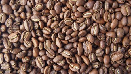 coffee-bean-coffee-brewed-coffee-858302.jpg