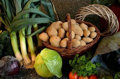 thanksgiving-vegetables-harvest-696164.jpg