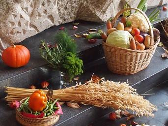 thanksgiving-food-agriculture-1009127.jpg