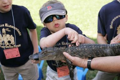 An environmental education student gets to feel the back of a young alligator on the refuge.jpg