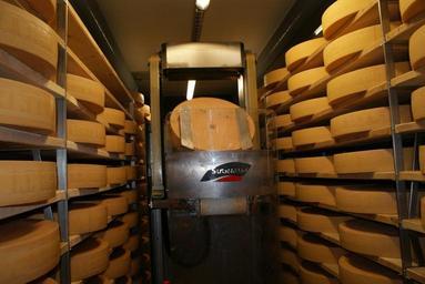 cheese-storage-cheese-cheese-dairy-262687.jpg