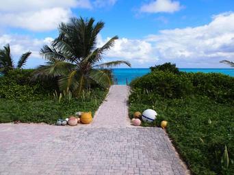 bahamas-beach-vacation-707300.jpg
