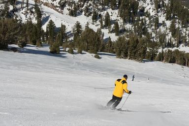skiing-skiers-downhill-snow-run-815008.jpg