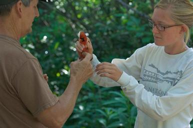 Student being shown by teacher how to correctly hold bird being prepared for banding.jpg