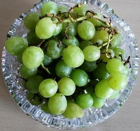 grapes-green-white-grapes-444100.jpg