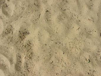 sand-beach-sea-vacation-ocean-276170.jpg