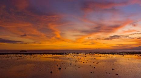sunset-sunset-beach-beach-sunset-1482250.jpg