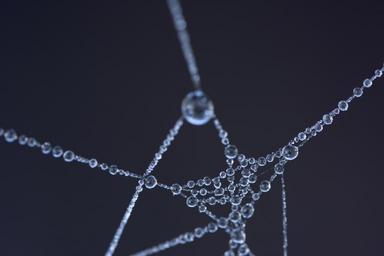 spider-web-frozen-dew-cobweb-web-1596739.jpg