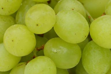 grapes-fruits-healthy-fruit-food-1281914.jpg