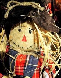 thanksgiving-harvest-doll-straw-hair-943736.jpg
