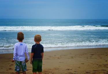beach-boys-vacation-summer-fun-1305182.jpg