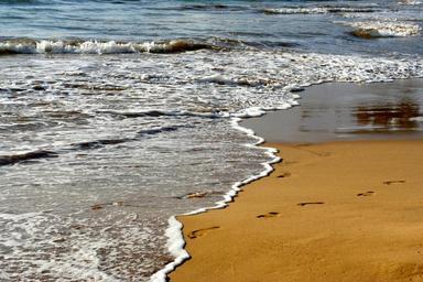 beach-sand-footprints-vacation-933116.jpg