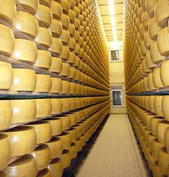 cheese-stock-food-parmesan-cheese-660551.jpg
