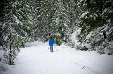 skiing-cross-country-snow-winter-1393042.jpg