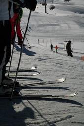 skiing-start-let-s-go-skiers-356450.jpg